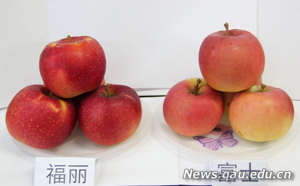 yl6809永利官网