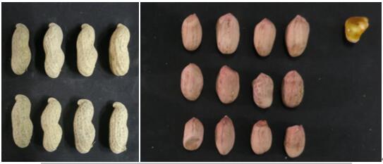 yl6809永利官网