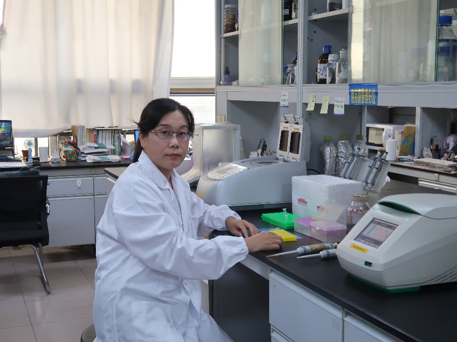 yl6809永利官网