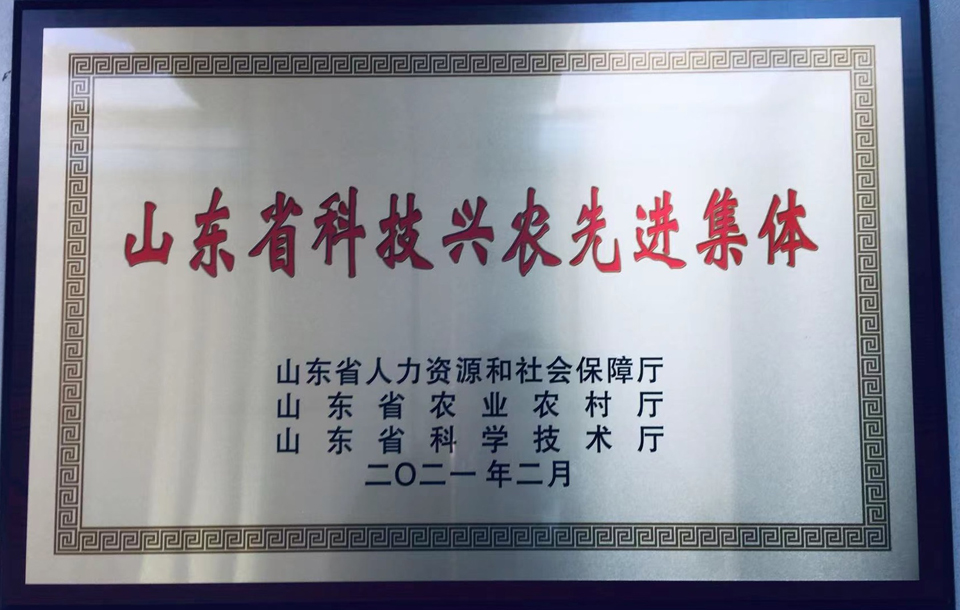 yl6809永利官网