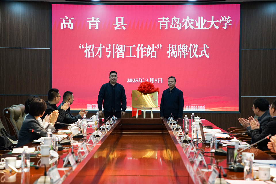 yl6809永利官网