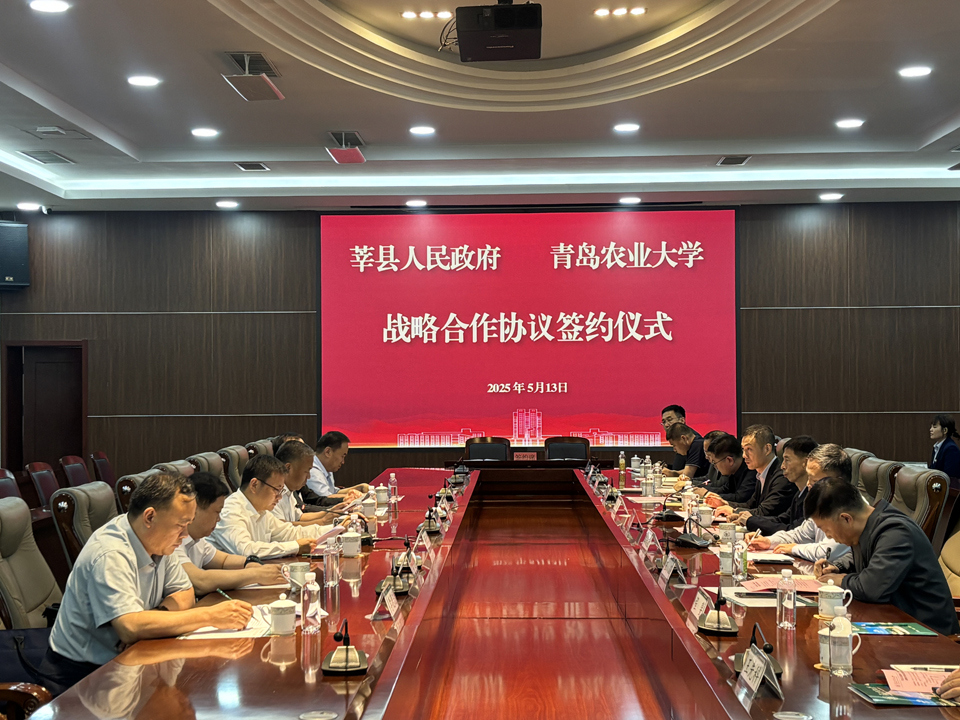yl6809永利官网