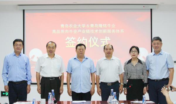 yl6809永利官网